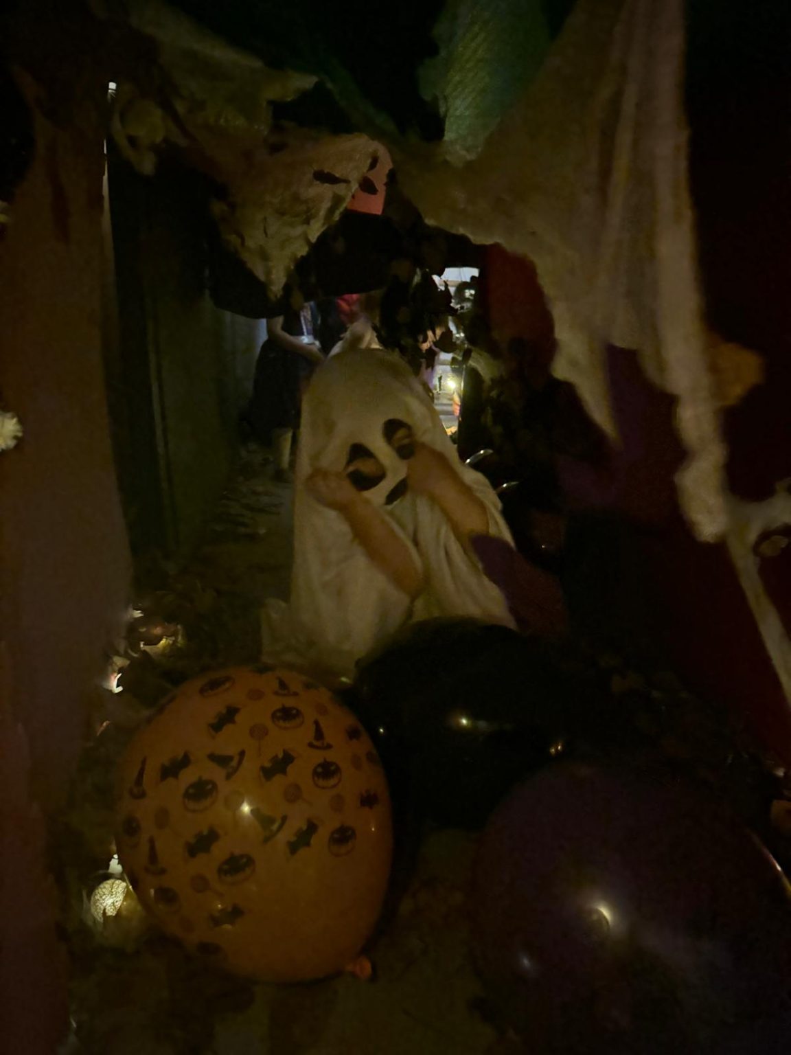 WhatsApp Image 2025-10-09 at 15.50.47 (1)