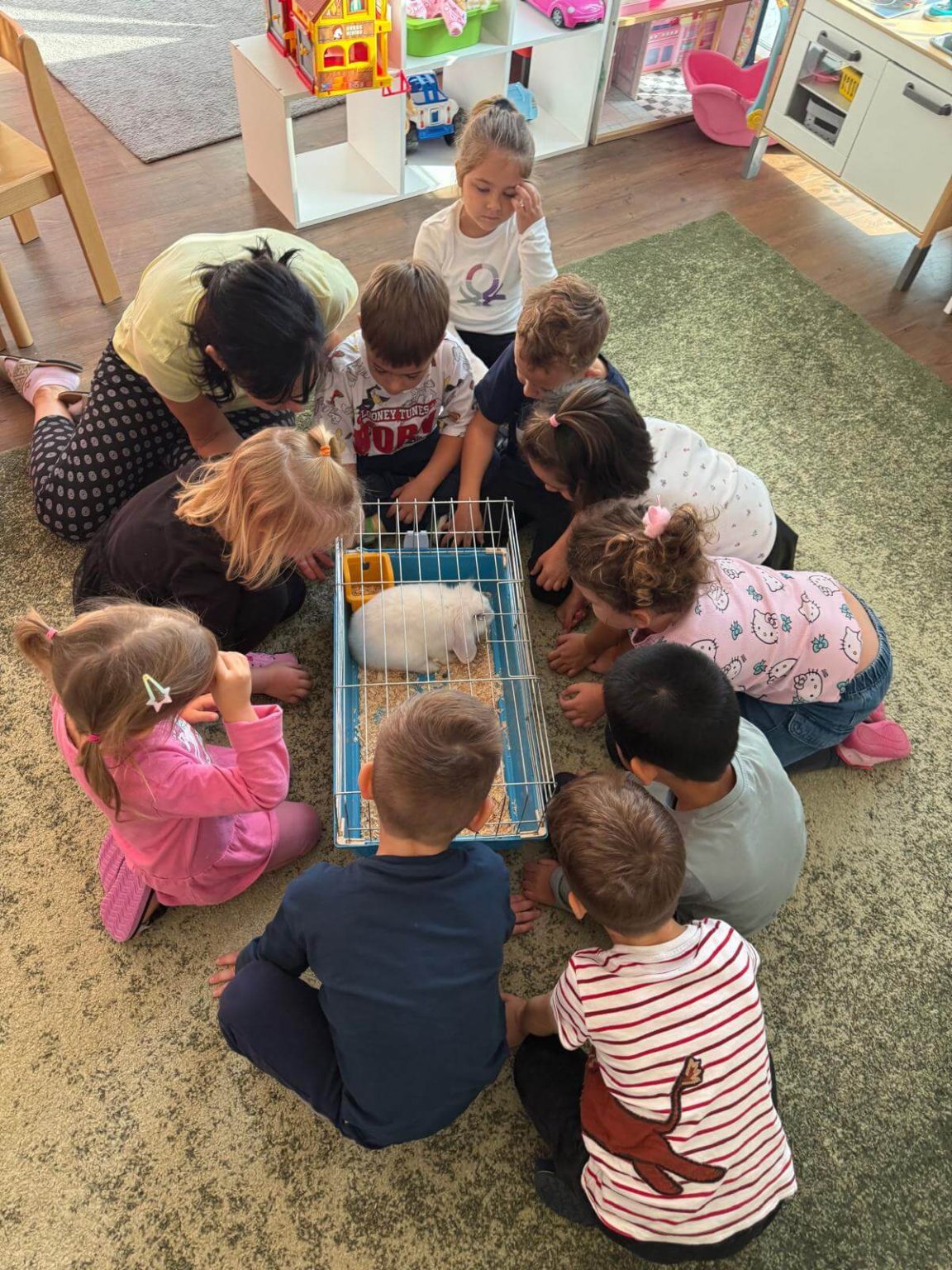 WhatsApp Image 2025-10-09 at 20.20.24