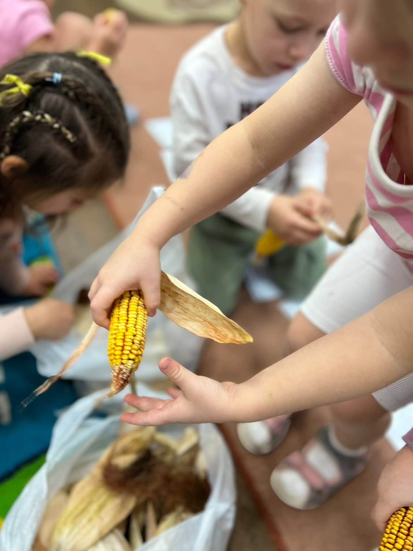 bambi_magan_ovoda_kozepso_csoport_1