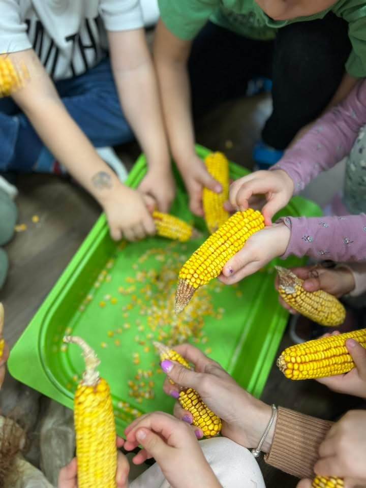 bambi_magan_ovoda_kozepso_csoport_2