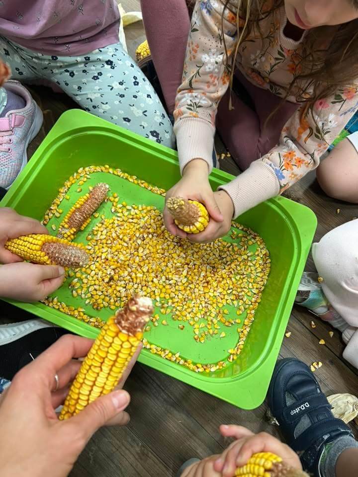 bambi_magan_ovoda_kozepso_csoport_3