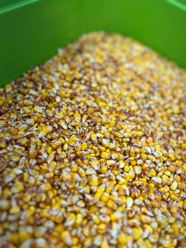 bambi_magan_ovoda_kozepso_csoport_4