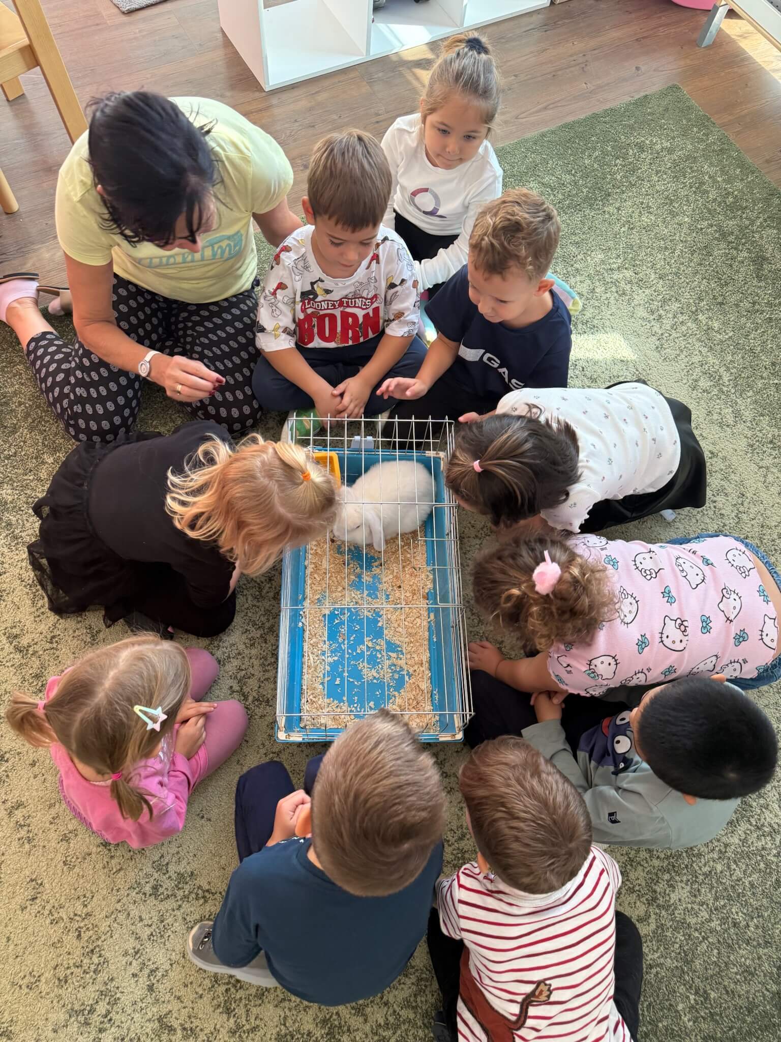 bambi_marina_ovoda_6