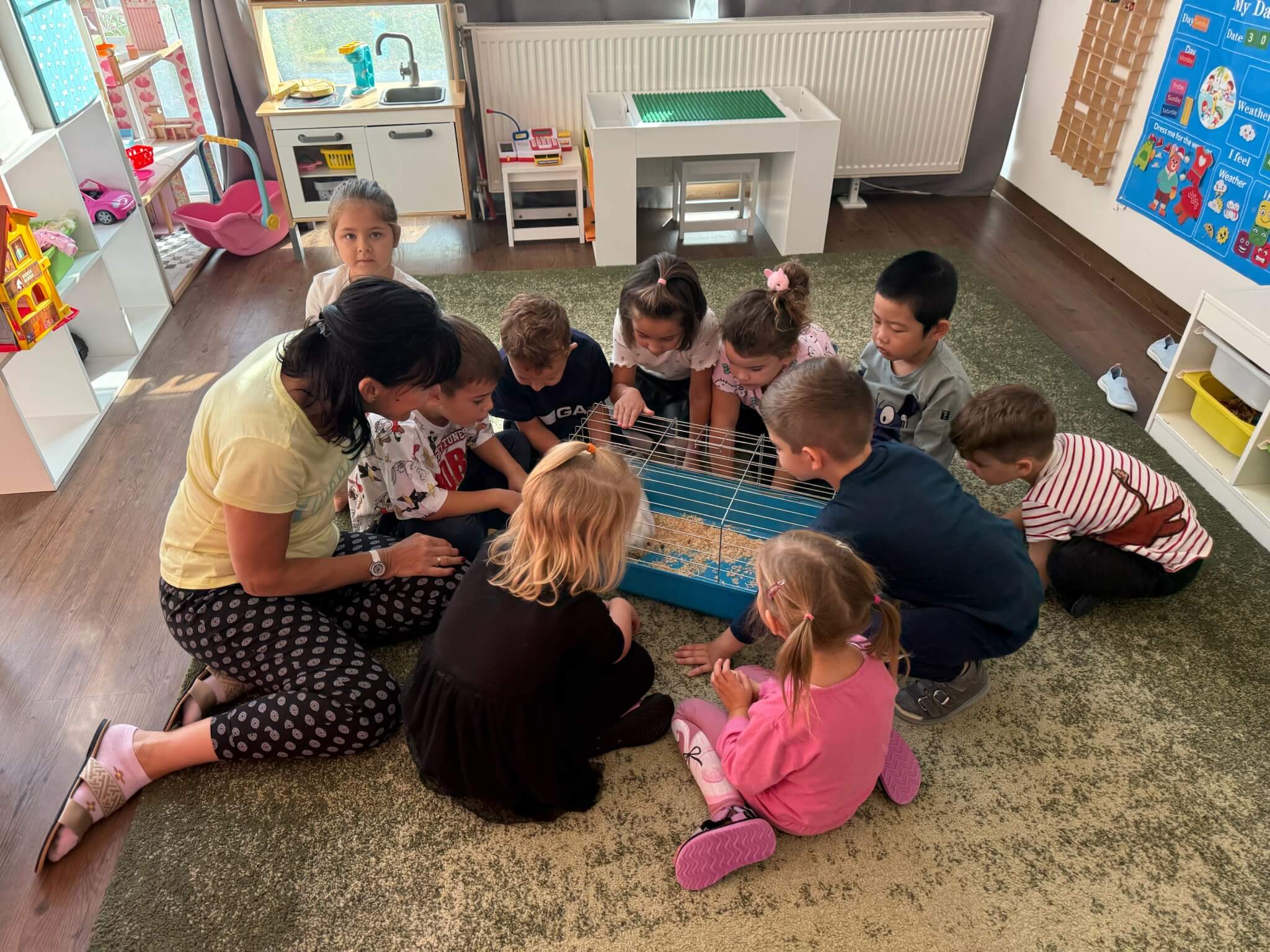 bambi_marina_ovoda_7