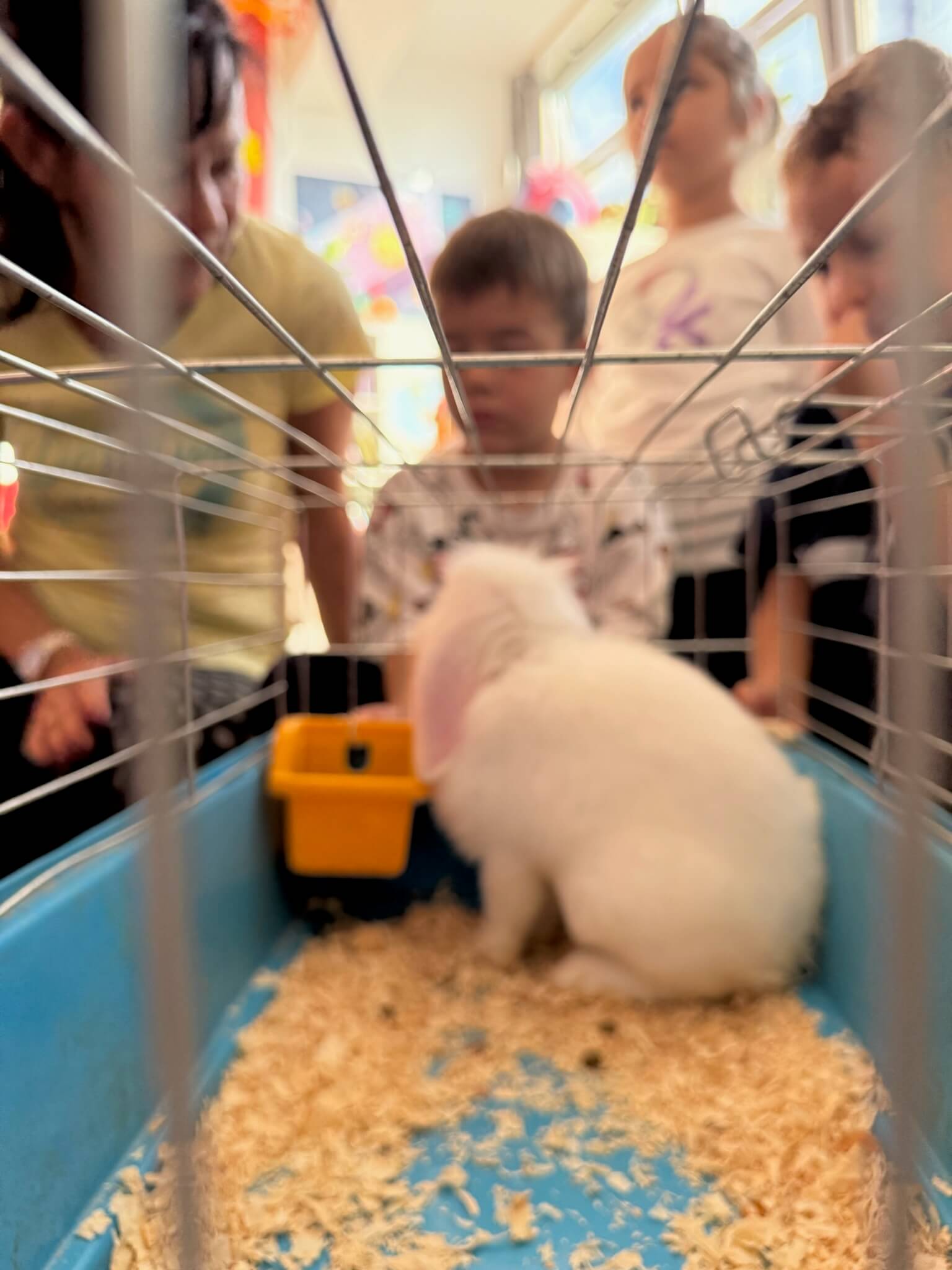 bambi_marina_ovoda_8