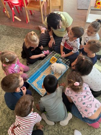 WhatsApp Image 2025-10-09 at 20.20.35